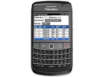 BlackBerry Work Force Solutions